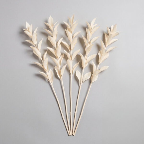 Bleached Ruscus Stems, 5