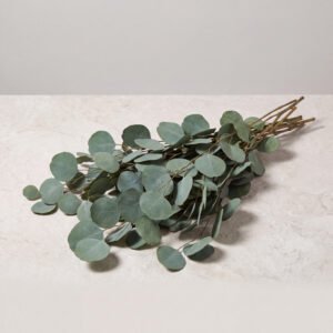 Preserved Eucalyptus Bundle