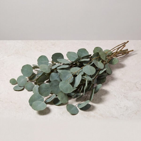 Preserved Stems
