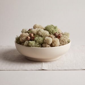 Preserved Moss Bowl