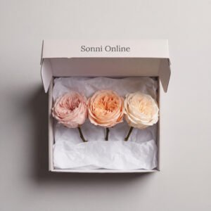 Preserved Rose Trio